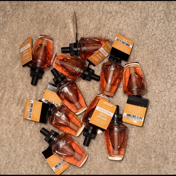 Bath & Body Works Bath & Body Bath And Body Works Wallflower Plug